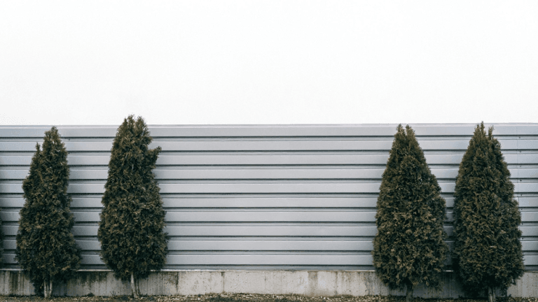 teren przed ogrodzeniem