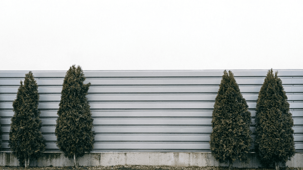 teren przed ogrodzeniem