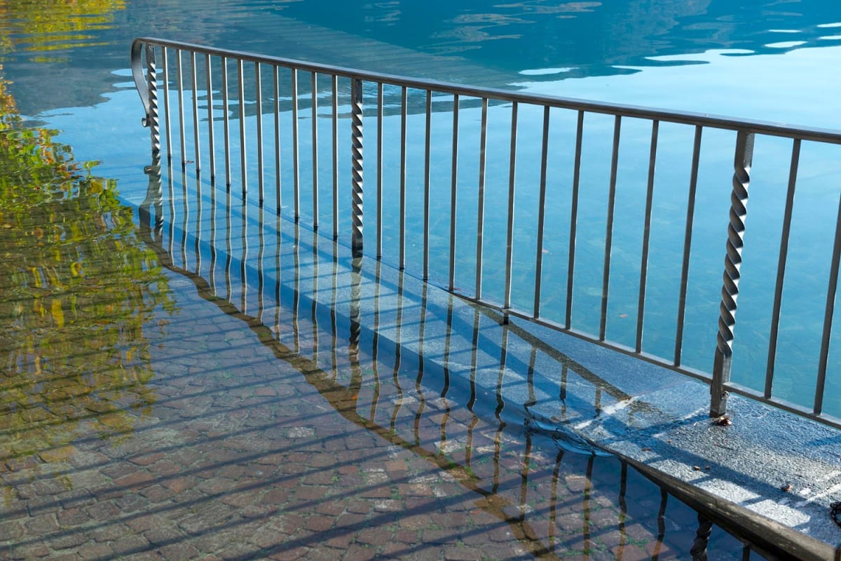 ogrodzenie metalowe na podmokłym terenie